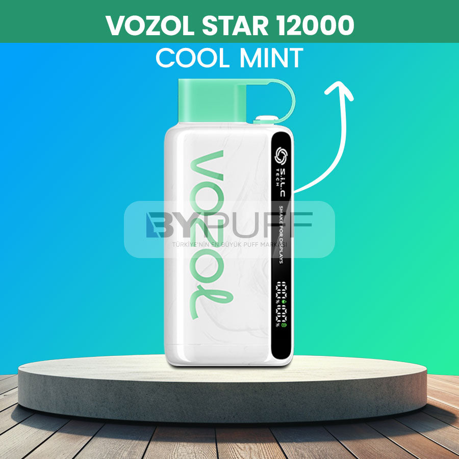 Vozol 12000 Cool Mint